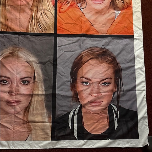 Lindsay Lohan Celebrity Mugshot Collage Tapestry - Picture 4 of 5